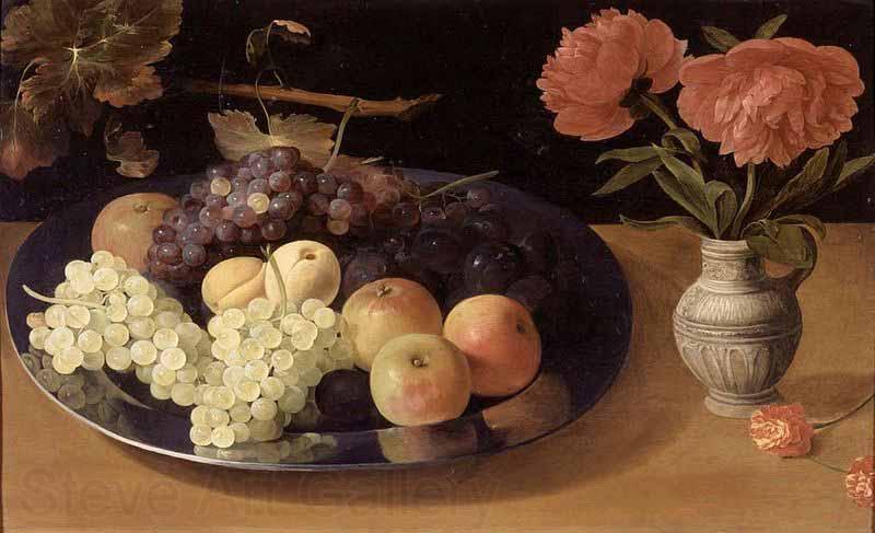 Jacob van Es Still-Life of Grapes, Plums and Apples Spain oil painting art